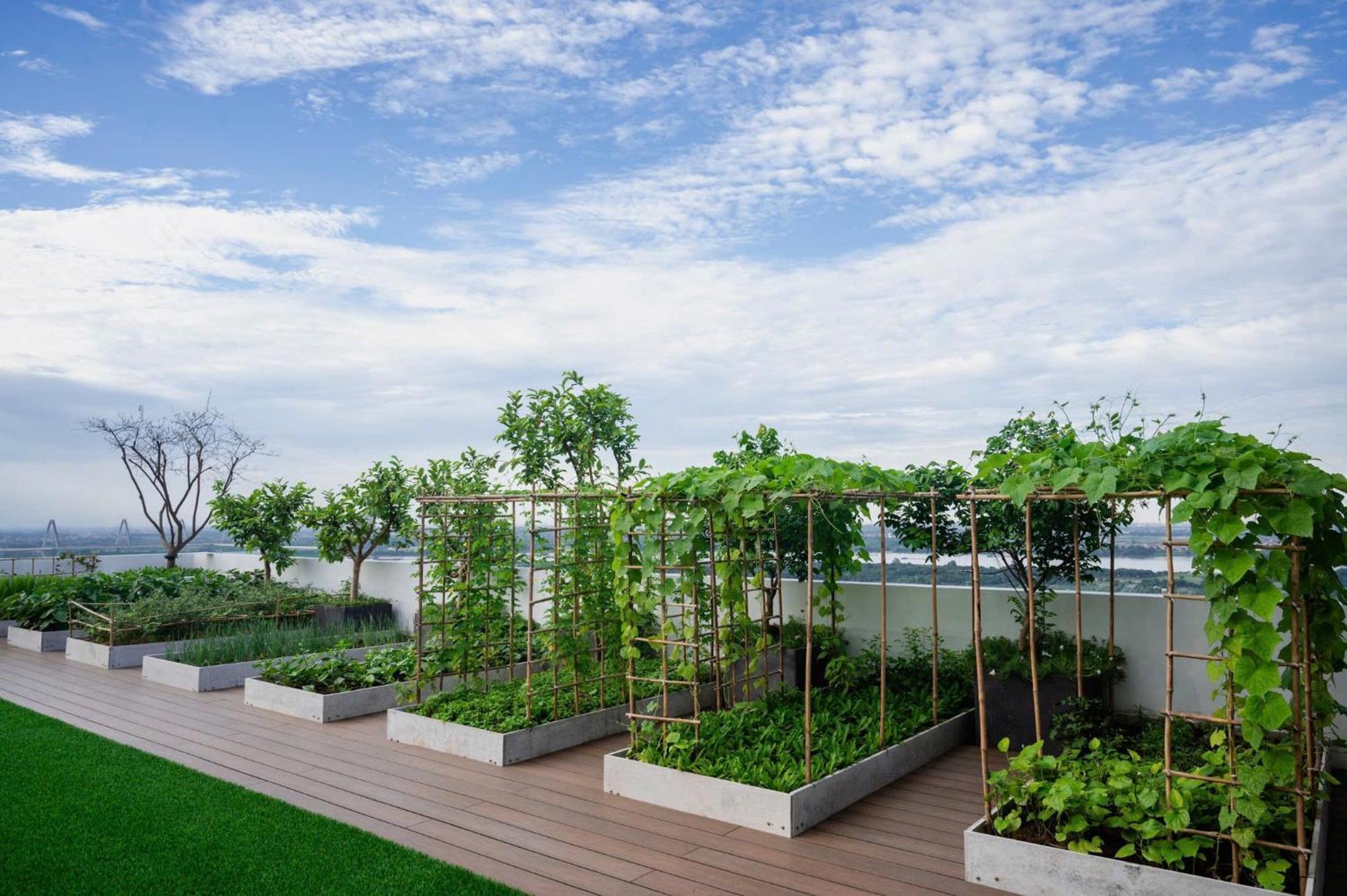 Somerset West Point Hanoi Exterior photo